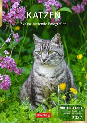 Produktbild von Wandkalender 2027 – 53 Katzenfotos – Platz für Notizen