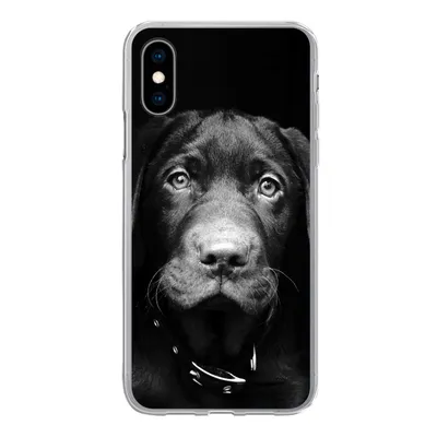 Produktbild von MuchoWow® Handyhülle Schutzhülle Hülle für iPhone X Hund - Leicht - Schwarz Silikon Softcase Handy Hülle - Handyhülle