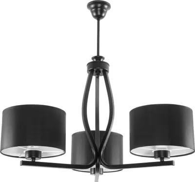 Produktbild von Schwarze Deckenleuchte mit schwarzem Lampenschirm HILDA 11-532