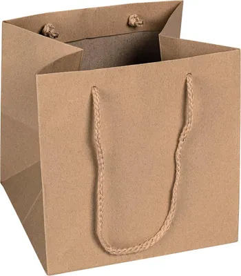 Immagine prodotto di Sacchetti di carta 18 x 18 x 17,5 cm, marroni, lisci, manici in corda - confezione da 12