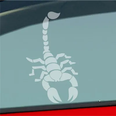 Produktbild von Auto Aufkleber Skorpion Krebs Motorrad Sternzeichen 15x8,5 cm Milchglas Sticker Heckscheibenaufkleber