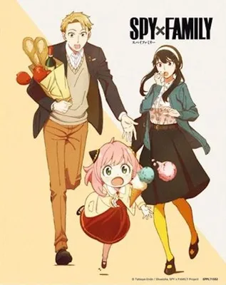 Image de Spy x Family - Cool Vs Family - Effet 3D - 20,3x25,4cm - Affiche Poster