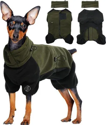 Immagine prodotto di Accappatoio in pile per cani - Taglia XL - per cani attivi