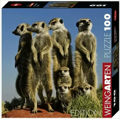 Produktbild von Minipuzzle 100 Teile Weingarten Meerkats