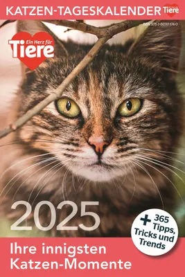 Produktbild von Katzen Tageskalender 2025