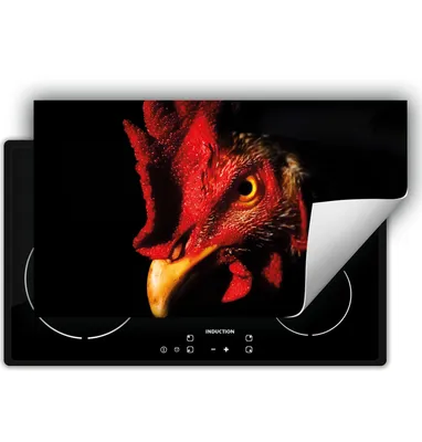 Produktbild von DarHaus Herdabdeckplatte 90x52 cm Anti Rutsch Matte Aufrollbar, schwarz - Hahn