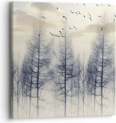 Produktbild von Bild auf Leinwand - Leinwandbild - Einteilig - Bäume Vögel Himmel - 40x40cm - Wand Bild - Wanddeko - Wandbilder - Leinwanddruck - Bilder - Wanddekoration - Leinwand bilder - Wandbild - AC40x40-4546