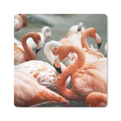 Produktbild von MuchoWow® Mauspad Mousepad Gruppe von rosa Flamingos auf den Teichen 20x20 cm - Mousepads - Maus Mat - Pad - Mausunterlage - Desk Mat - Bureauartikeln