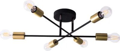 Produktbild von Trio Deckenleuchte Cross Schwarz max. 6 x 40W E27 ohne Leuchtmittel verstellbar
