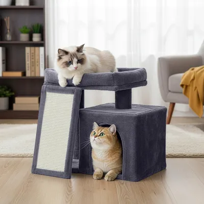 Two cats are interacting with a cat tree in a living room setting.