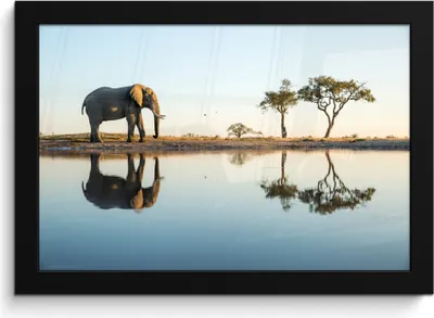 Produktbild von MuchoWow® MuchoWow® Gerahmtes Poster Elefant - Wasser - Bäume - Tiere - Natur 30x20 cm - Poster mit zchwarzem Bilderrahmen - Kunstdruck - Bild-Poster