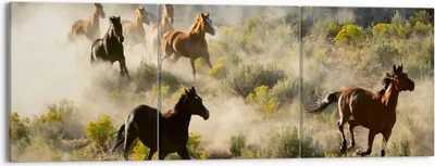 Produktbild von Bild auf Leinwand - Leinwandbild - Cowboy Cowgirl Pferd - 150x50cm - Wand Bild - Wanddeko - Leinwanddruck - Bilder - Kunstdruck - Wanddekoration - Leinwand bilder - Wandkunst - CA150x50-2201