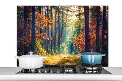Obrázok produktu pre MuchoWow® Splashback Kuchyňa - Kuchynský backsplash - Ochrana steny pre sporák a drez Les - Slnko - Príroda - Jeseň 100x65cm Alu-Dibond (alternatíva k