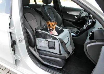 Image de Siège et caisse de transport pour animaux, siège avant ou arrière.