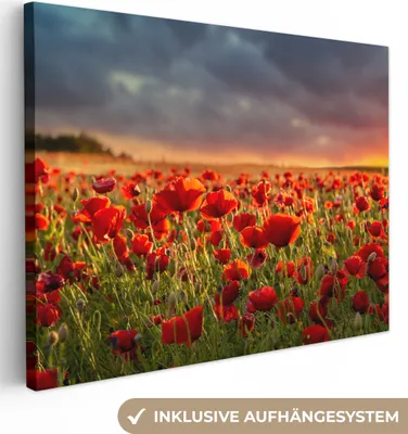 Produktbild von MuchoWow® - Leinwandbilder - Sonnenuntergang - Mohnblumen - Rot - Blumen - Feld - Natur, Wandbild, Wanddeko Bilder Wohnzimmer, 40x30 cm