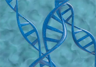 Produktbild von Wallario Poster - DNA-Strang in blau auf türkisem Hintergrund, Kunstdruck Größe: 70 x 100 cm