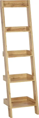 Obrázek produktu pro BELIANI Žebříková knihovna barva světlého dřeva 169 x 45 x 43 cm s 5 policemi na knihy