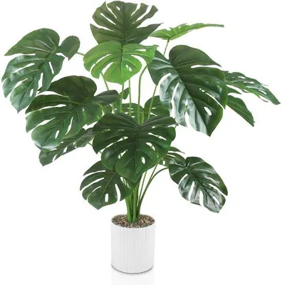 Immagine prodotto di Pianta artificiale Monstera di grandi dimensioni, alta 80 cm, con 24 rami. Pianta artificiale in vaso, decorazione moderna per il soggiorno