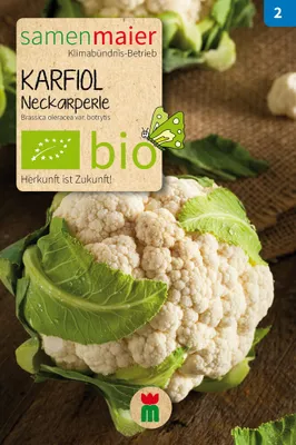 Produktbild von Karfiol Neckarperle - Saatgut für zirka 20 Pflanzen
