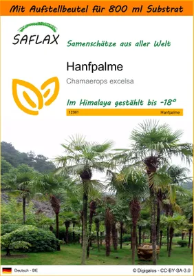 Produktbild von SAFLAX Garden in the bag - Hanfpalme - Chamaerops excelsa - 10 Samen - Mit Anzuchtsubstrat im praktischen, selbst aufstellenden Beutel