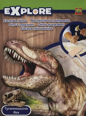 Produktbild von SES Creative Explore ausgraben 25022 Excavate Dinos, Elfenbein