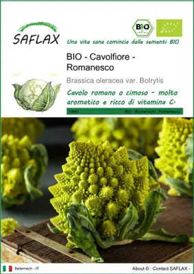 Immagine prodotto di SAFLAX  -- Cavolfiore - Romanesco - 50 semi - Brassica