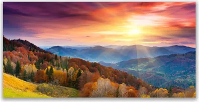 Produktbild von Glasbilder 140x70 Wandbild Druck auf Glas Gebirge Wald Gelb Landschaft