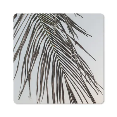 Produktbild von MuchoWow® Mauspad Mousepad Sommer - Blatt - Palme 30x30 cm - Mousepads - Maus Mat - Pad - Mausunterlage - Gaming