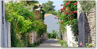 Produktbild von Tulup® Leinwandbild - 140x70 cm - Wandkunst - Drucke auf Leinwand - Leinwanddruck  - Landschaften - Grün - Blumige Gasse