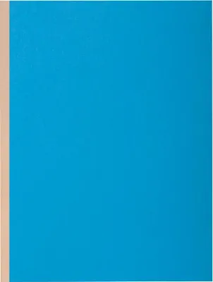 Produktbild von Exacompta 10x 10er Aktendeckel A4 Rock Faltenrücken 24x32cm - sortiert - 416000E