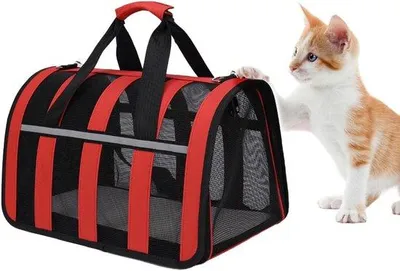 Zdjęcie produktu dla Transporter dla psów i kotów - torba dla małych zwierząt - składana torba podróżna z uchwytami i paskiem na ramię - 40 x 27 x 24 cm