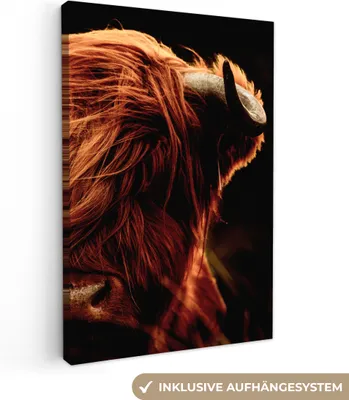 Produktbild von MuchoWow® - Leinwandbilder - Schottischer Highlander - Kuh - Hörner - Porträt - Tiere, Wandbild, Wanddeko Bilder Wohnzimmer, 60x90 cm