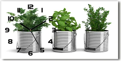 Produktbild von Wanduhr aus Glas – 60x30 cm - Glasbild - Glasuhr - Gehärtetes Glas - schwarze-zeiger - Aromatische Pflanzen