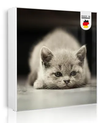 Zdjęcie produktu dla banjado metalowa szafka na klucze, duża 30x30 cm z 32 haczykami, może służyć jako tablica magnetyczna, biały korpus, zawias po prawej stronie, Theodor [SKGW1 12374]
