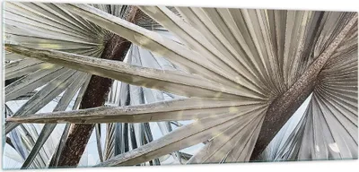 Produktbild von Bilder auf glas - Einteilig - Blatt Palme Natur - 100x40cm - Glasbilder - Wandbilder - Bilder - zum Aufhängen bereit - Wanddekoration aus Glas - Glas Bilder - Wandbild auf Glas - GAB100x40-5056