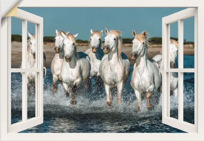 Produktbild von ARTland Wandbild, selbstklebend Fensterblick Pferde am Strand Größe: 70x50 cm