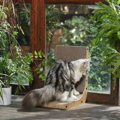 Produktbild von Katzen - Kratzpad mit Bällchenspielzeug - Hochwertiges Kratzmöbel für Katzen - L-förmig - 42,5 cm hoch