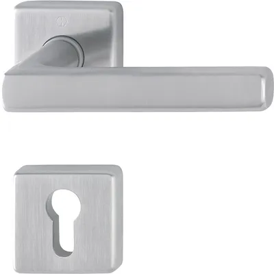 A silver door handle and keyhole escutcheon are shown against a white background.