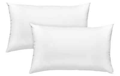 Image de 2 coussins en fibres 30 x 50 cm, , coussins pour canapé, garnissage pour taie, coussins décoratifs, lavables, sleepling