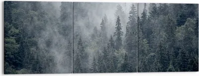 Produktbild von Bild auf Leinwand - Leinwandbild - Wald Baum Natur - 150x50cm - Wand Bild - Wanddeko - Wandbilder - Leinwanddruck - Bilder - Kunstdruck - Wanddekoration - Leinwand bilder - Wandkunst - CA150x50-4074