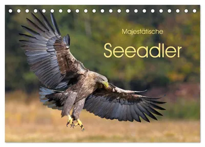 Produktbild von Majestätische Seeadler (Tischkalender 2027 DIN A5 quer), CALVENDO Monatskalender