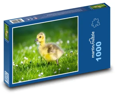 Obrázok produktu pre Puzzle 1000 Húsatko v tráve - martinpuzzle