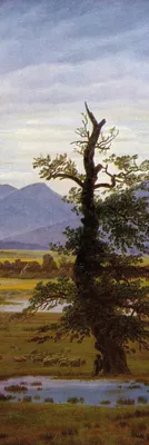 Zdjęcie produktu dla Caspar David Friedrich Art Print Obraz - Samotne drzewo, 1822 (158 x 53 cm)