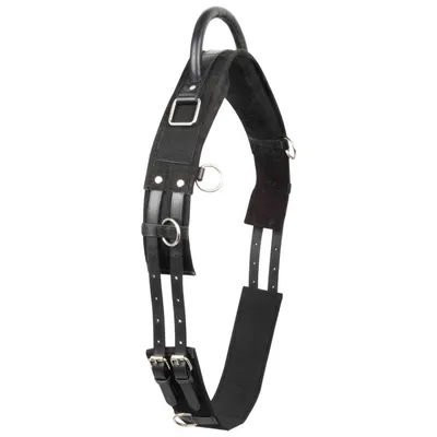 Image de Sangle de voltige Imperial Riding IRHVito Noir Poney