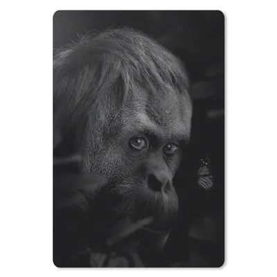 Produktbild von MuchoWow® Mauspad Mousepad Nahaufnahme eines Affen im Dschungel - schwarz und weiß 40x60 cm - Mousepads - Maus Mat - Pad - Mausunterlage - Schreibtisch Accesoire