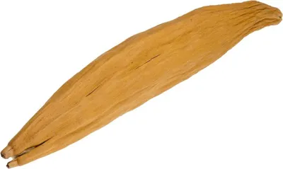 Produktbild von Kapok Schote Länge ca.15-30cm | Ceiba pentandra
