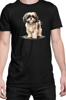 Produktbild von Herren T-Shirt Dogs Breeds Shih Tzu Dog Breed 005, Man 2XL / Schwarz