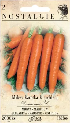 Image de Carottes pour accélérer