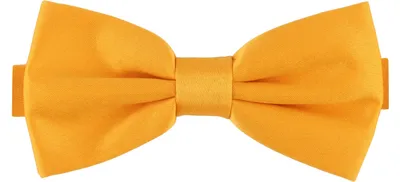 Produktbild von Ladeheid Herren Schmale Herrenfliege M (12cm x 6cm)
