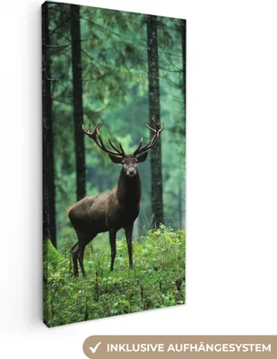 Produktbild von MuchoWow® - Leinwandbilder - Hirsche - Wald - Bäume - Tiere - Natur, Wandbild, Wanddeko Bilder Wohnzimmer, 40x80 cm